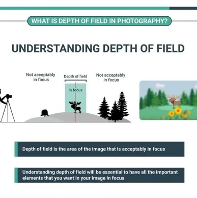 Depth of Field in Photography