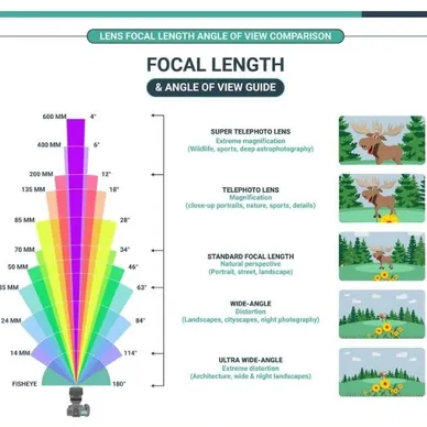 Focal Length and Angle of View Guide