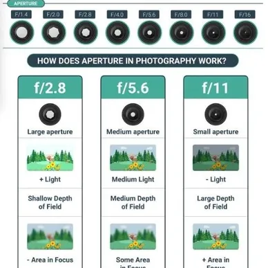 How Aperture Works in Photography