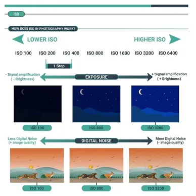 How ISO Works in Photography
