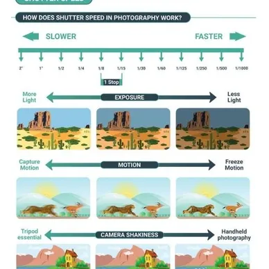 How Shutter Speed Works in Photography
